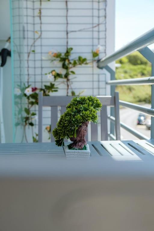 Guestready - A Sunny Delight In Funchal Apartment Exterior photo